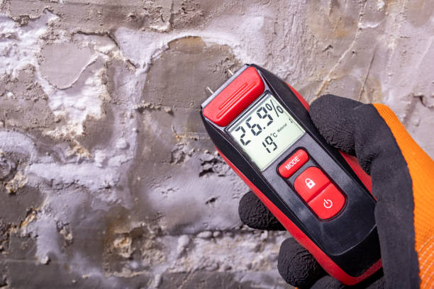 Best Mold Testing  in Hertford, NC